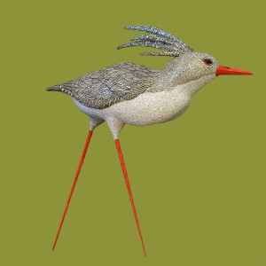 Kagu di Dusciana Bravura